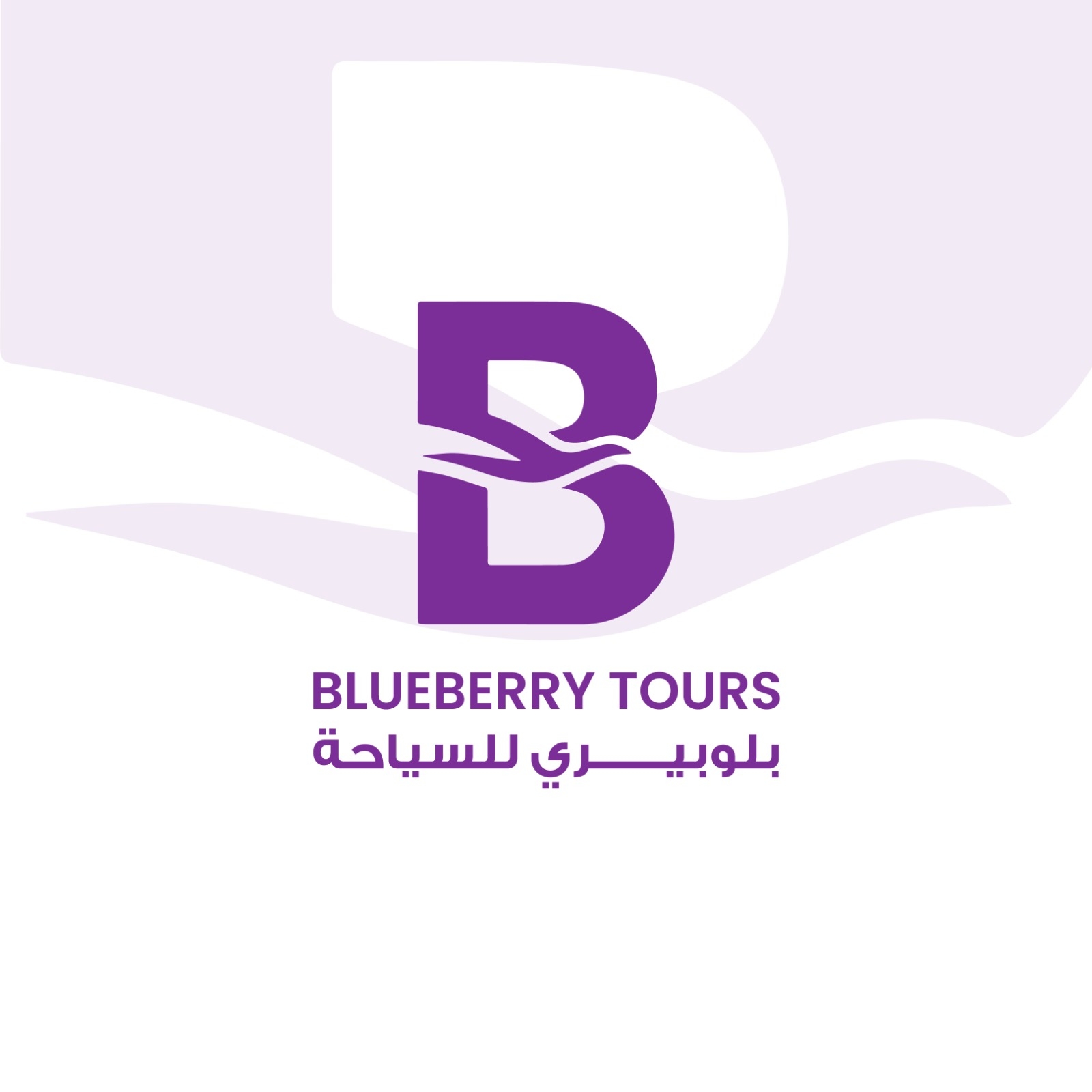 بلوبيري للسياحه